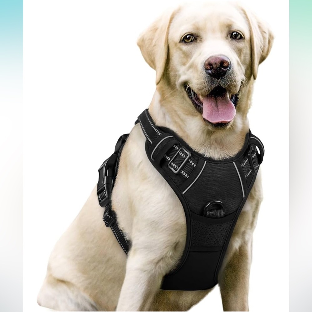 NEW Rabbitgoo No-Pull Dog Harness – Black, Size Large